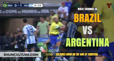 Brazil vs Argentina: Find the Right Channel to Watch the Match