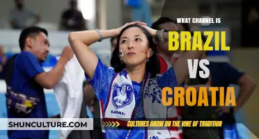Brazil vs Croatia: Which Channel Will Broadcast the Match?