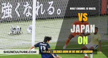 Brazil vs Japan: TV Channel Guide for the Match
