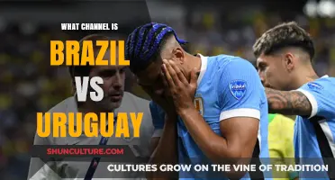 Brazil vs Uruguay: Which Channel Will Broadcast the Match?