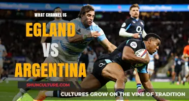 England vs Argentina: Where to Watch the Match Live