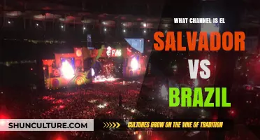 Where to Watch El Salvador vs Brazil Live: TV Channel Guide