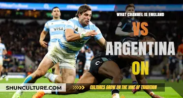 England vs Argentina: Where to Watch the Match Live