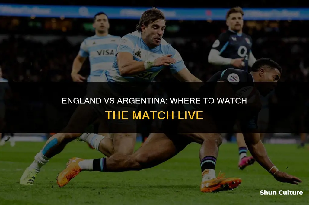 what channel is england vs argentina on