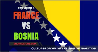 France vs Bosnia: Which Channel to Watch the Match Live?