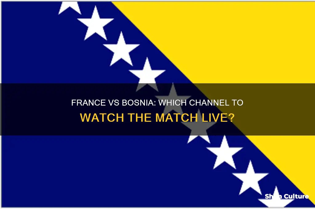 what channel is france vs bosnia
