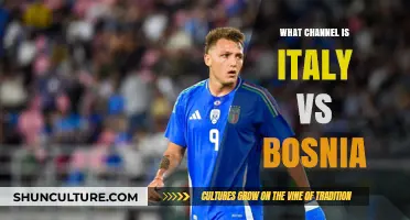 Italy vs Bosnia: Which Channel Will Broadcast the Match?