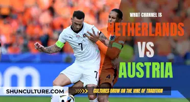 Where to Watch Netherlands vs Austria Live