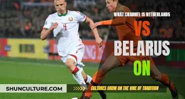 Where to Watch Netherlands vs Belarus Match