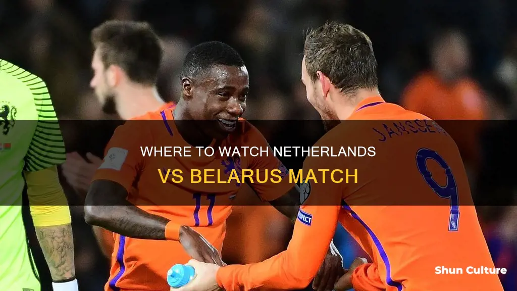 what channel is netherlands vs belarus on