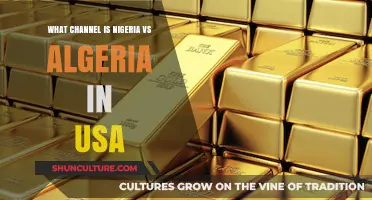 Nigeria vs Algeria: USA TV Channel Guide for the Match