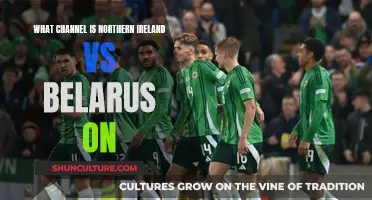 Where to Watch Northern Ireland vs Belarus