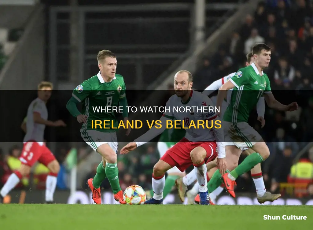 what channel is northern ireland vs belarus on