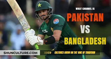 Pakistan vs Bangladesh: Find the Right Channel to Watch the Match
