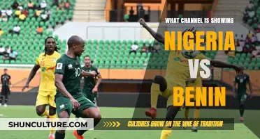 Nigeria vs Benin: Where to Watch the Match Live