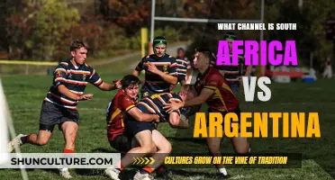 Rugby Showdown: Where to Watch South Africa vs Argentina Live