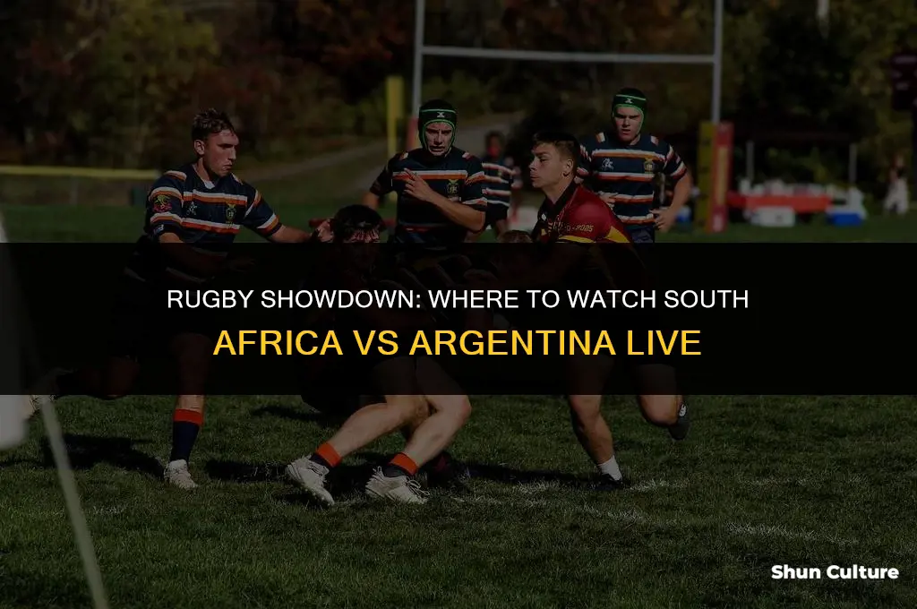 what channel is south africa vs argentina