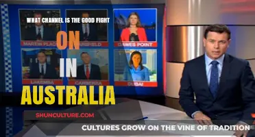 Where to Watch 'The Good Fight' in Australia
