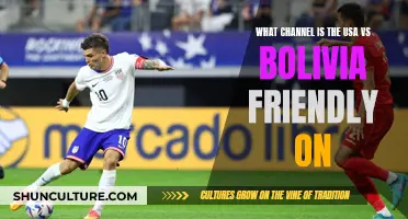 US vs Bolivia: Which Channel to Watch the Friendly On?