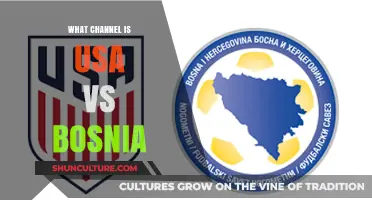 USA vs Bosnia: Which Channel Will Broadcast the Match Live?