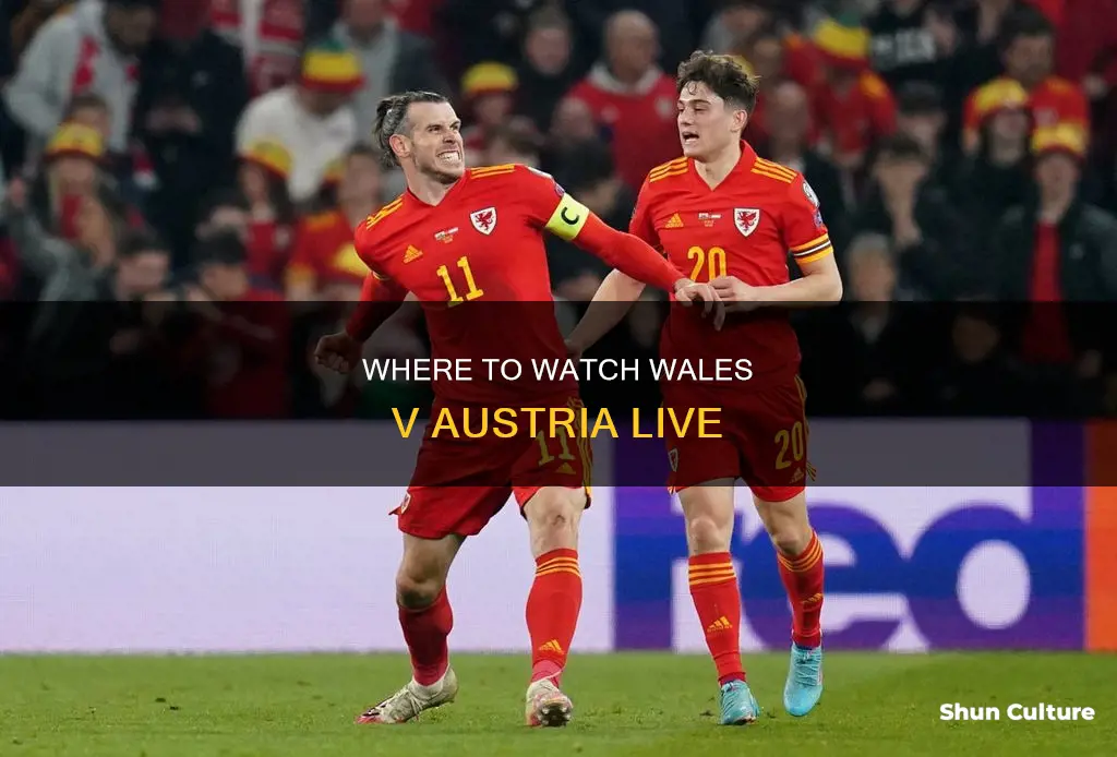 what channel is wales v austria on