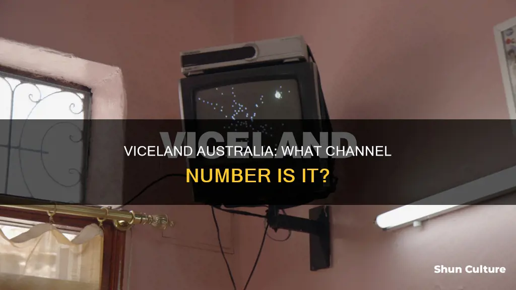 what channel number is viceland australia