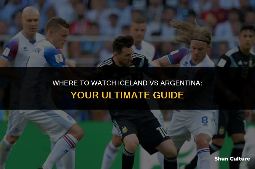 what channel will iceland vs argentina be on