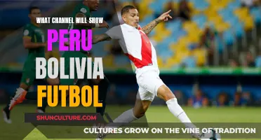 Where to Watch Peru vs Bolivia Football Match