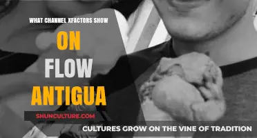 Where to Watch X Factor on Flow Antigua: Your Guide