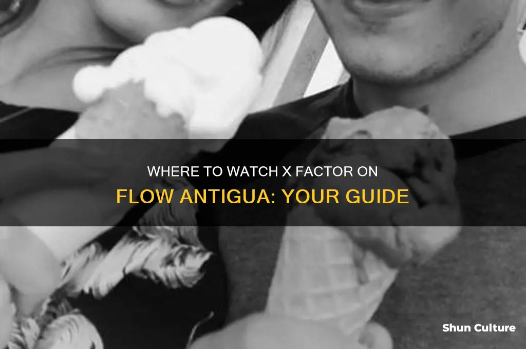 what channel xfactors show on flow antigua