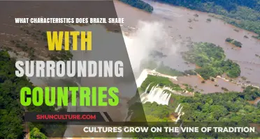 Brazil's Shared Traits: Exploring Cultural and Geographic Bonds with Neighbors
