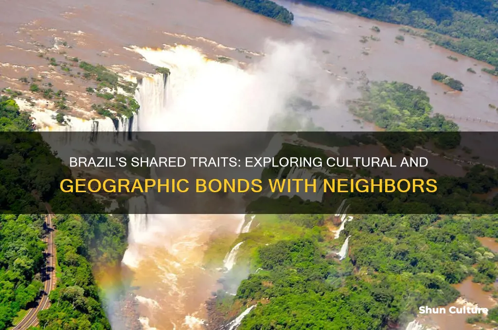 what characteristics does brazil share with surrounding countries