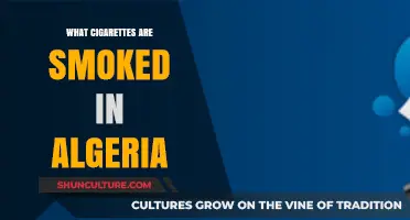Exploring Algeria's Popular Cigarette Brands and Smoking Culture