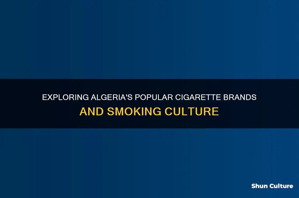 what cigarettes are smoked in algeria
