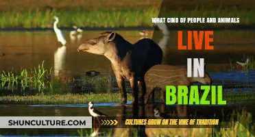 Exploring Brazil's Diverse Population: People and Wildlife Coexisting in Harmony