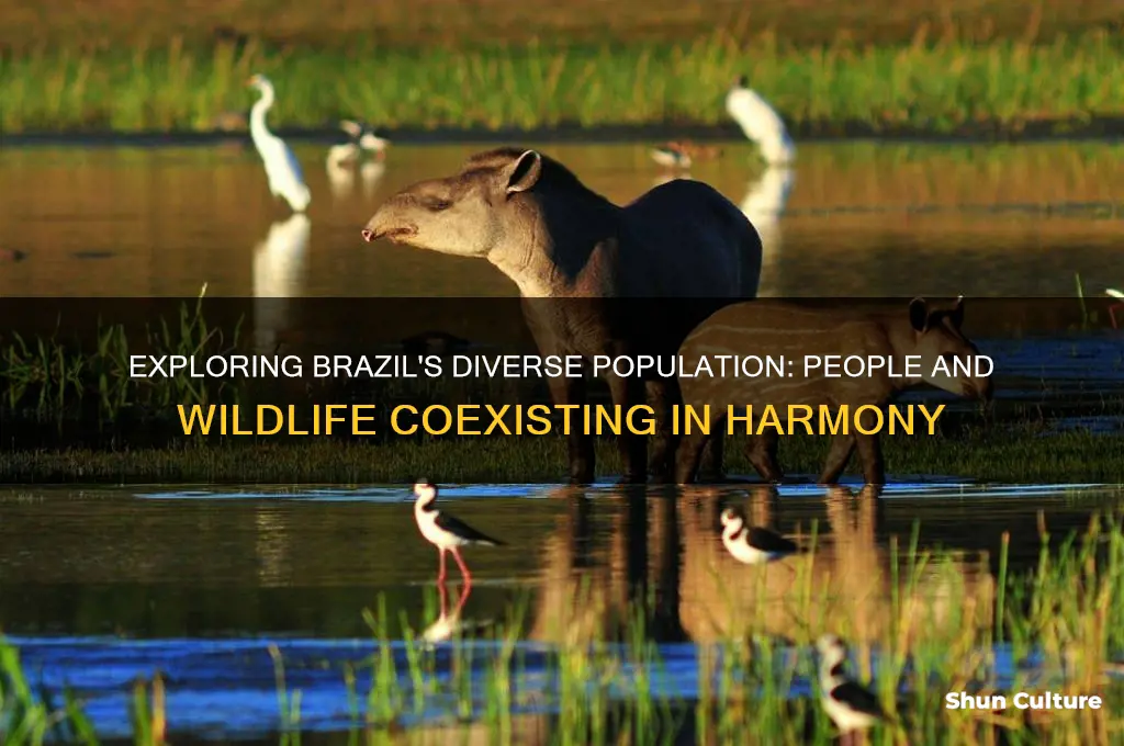 what cind of people and animals live in brazil