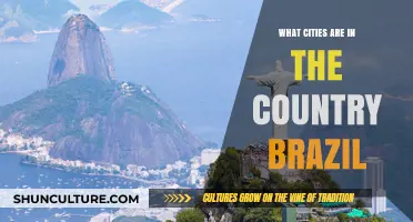 Exploring Brazil's Urban Gems: A Guide to Its Major Cities