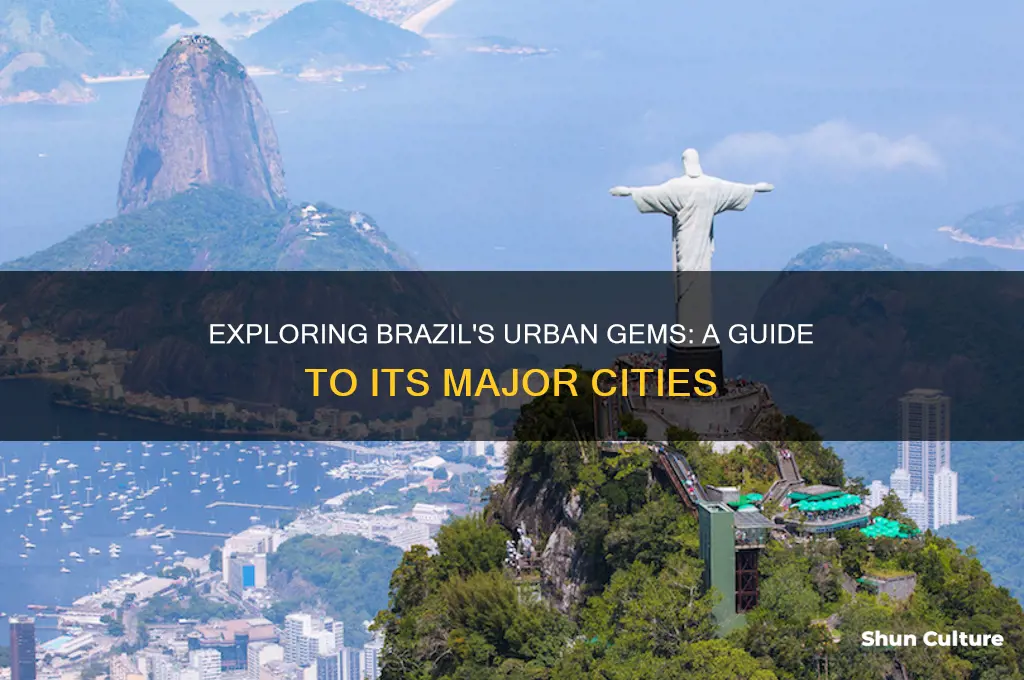 what cities are in the country brazil