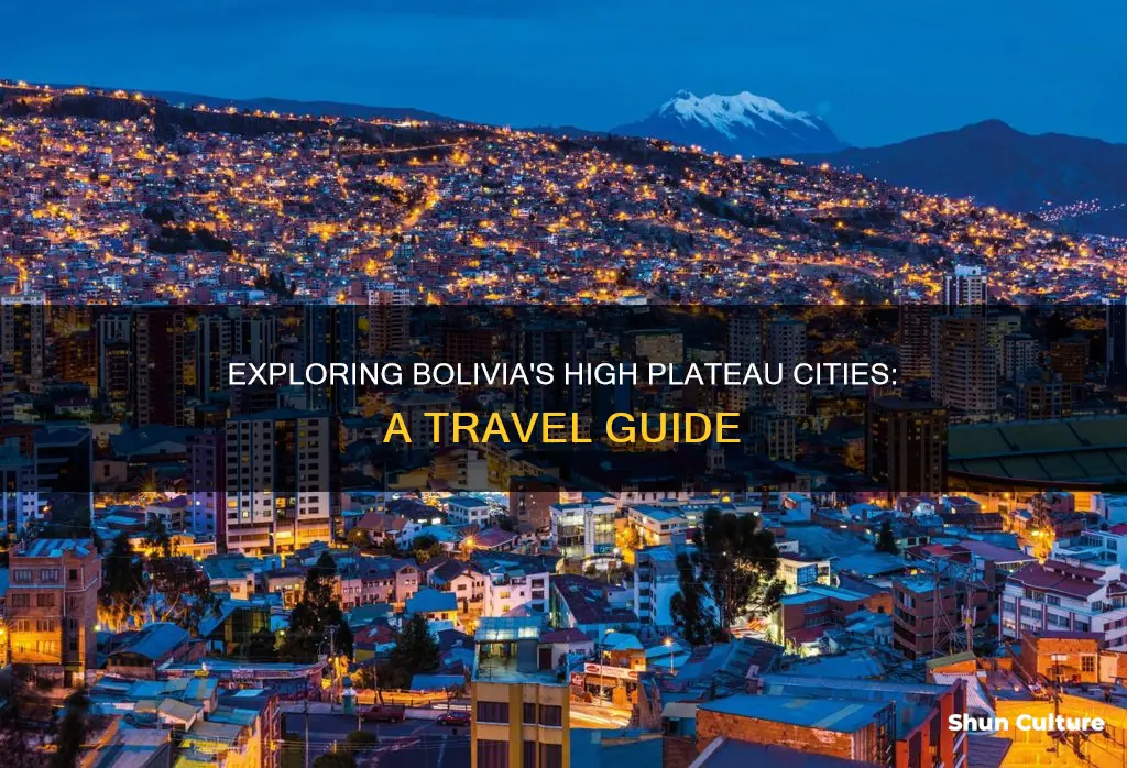 what cities in bolivia have a high plateau