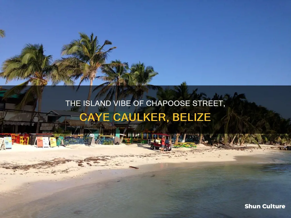 what city and state is chapoose street caye caulker belize