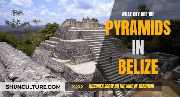 The Ancient Pyramids of Belize: Unraveling the Mystery in the City of Caracol