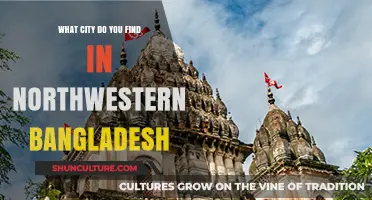 Discovering the Hidden Gem: Northwestern Bangladesh's Charming City
