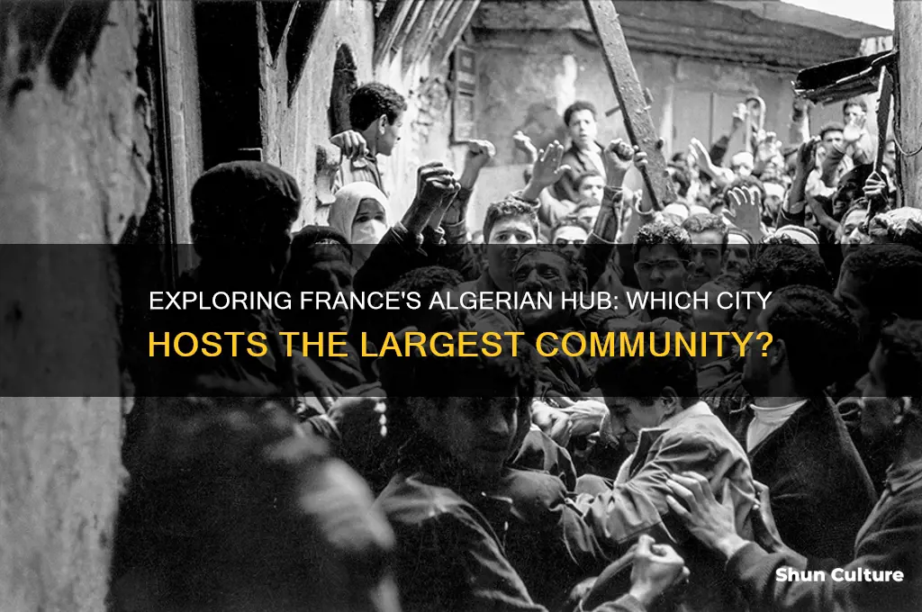 what city france has most algerian