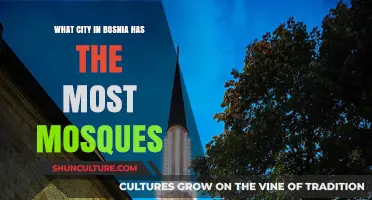 Discovering Bosnia's Most Islamic City: Where Mosques Abound