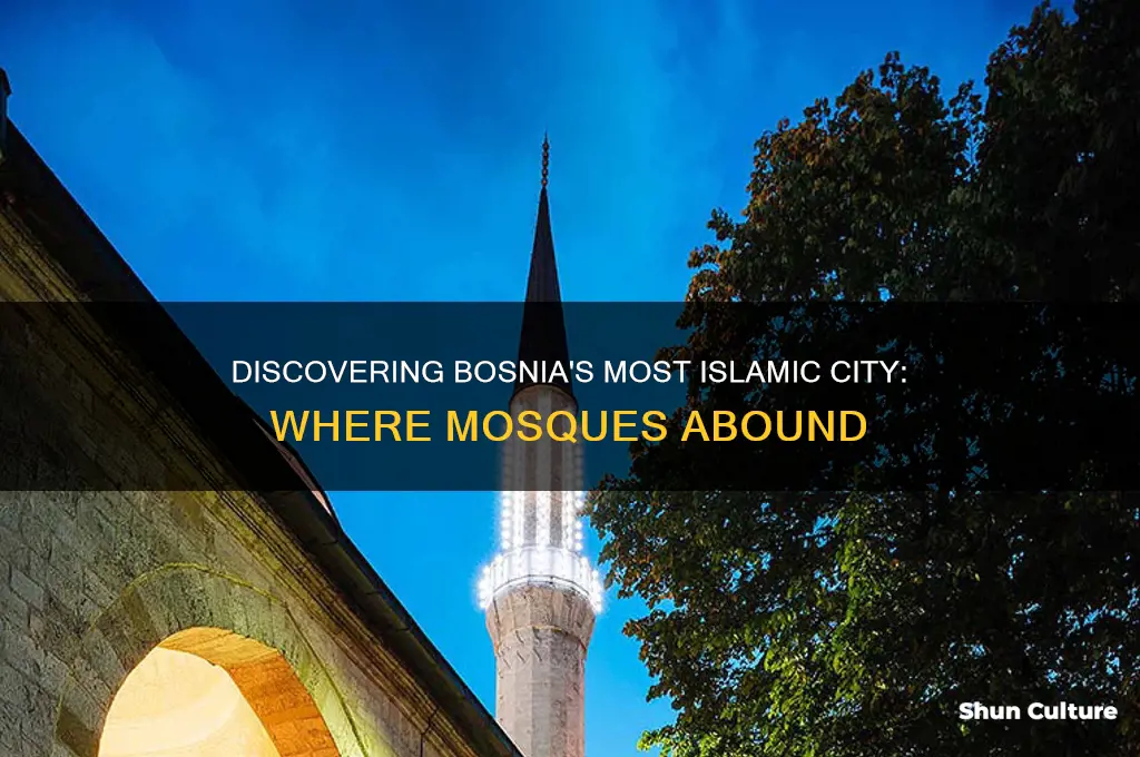 what city in bosnia has the most mosques