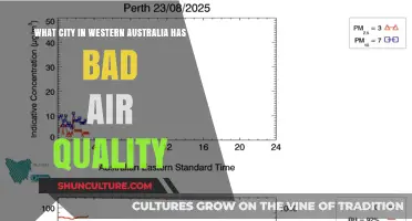 Air Quality Alert: Western Australia's City of Haze
