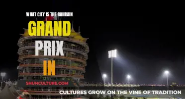 Bahrain Grand Prix: Where the Action Unfolds