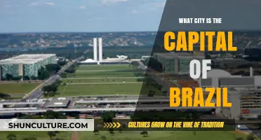 Discovering Brazil's Capital: Unveiling the Heart of a Vibrant Nation