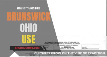 Brunswick, Ohio: City Tax Sources