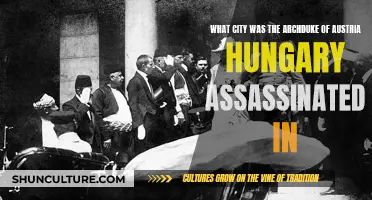 Archduke's Assassination: The City that Started World War I